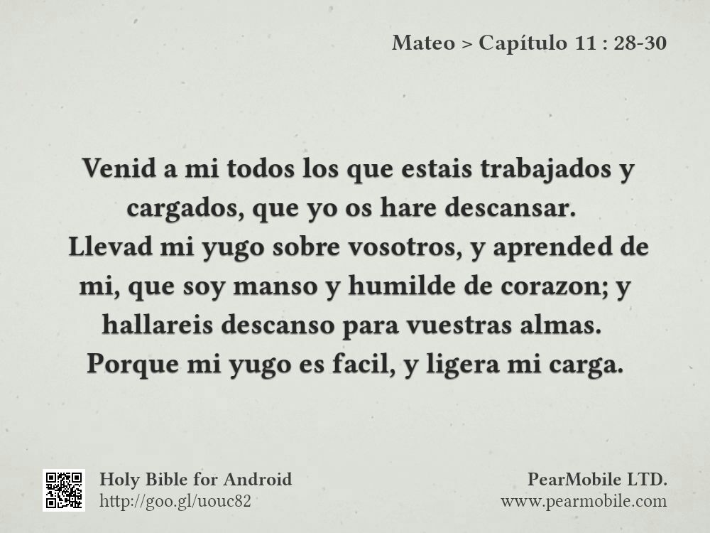 Mateo, Capítulo 11:28-30